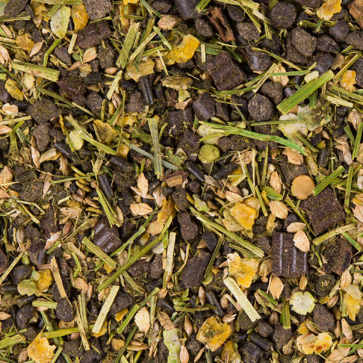 Höveler Western Sport